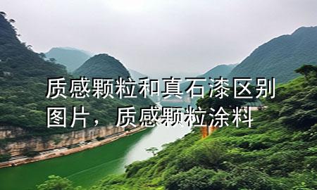 質(zhì)感顆粒和真石漆區(qū)別圖片，質(zhì)感顆粒涂料