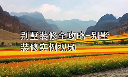 別墅裝修全攻略-別墅裝修實例視頻