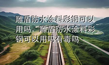 雕盾防水涂料彩鋼可以用嗎，雕盾防水涂料彩鋼可以用嗎有毒嗎