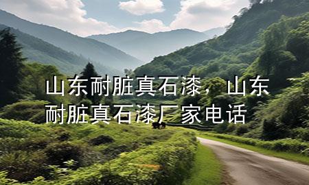 山東耐臟真石漆，山東耐臟真石漆廠家電話
