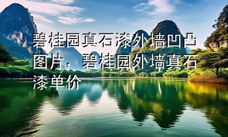 碧桂園真石漆外墻凹凸圖片，碧桂園外墻真石漆單價(jià)