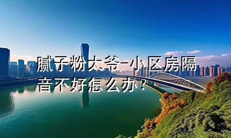 膩子粉大爺-小區(qū)房隔音不好怎么辦？