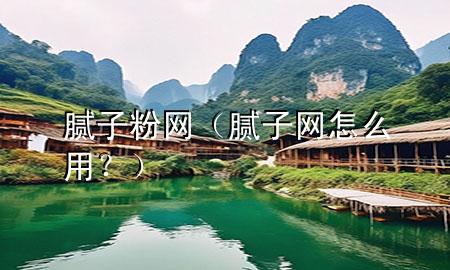 膩子粉 網(wǎng)（膩子網(wǎng)怎么用？）