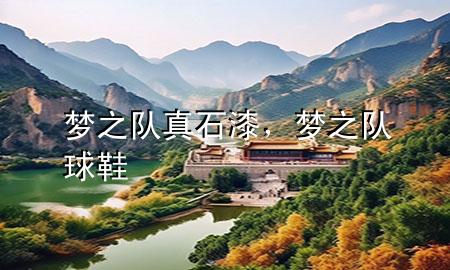 夢之隊真石漆，夢之隊球鞋