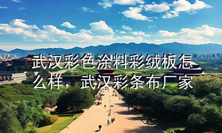 武漢彩色涂料彩絨板怎么樣，武漢彩條布廠家