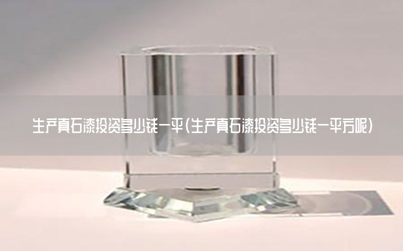 生產真石漆投資多少錢一平（生產真石漆投資多少錢一平方呢）