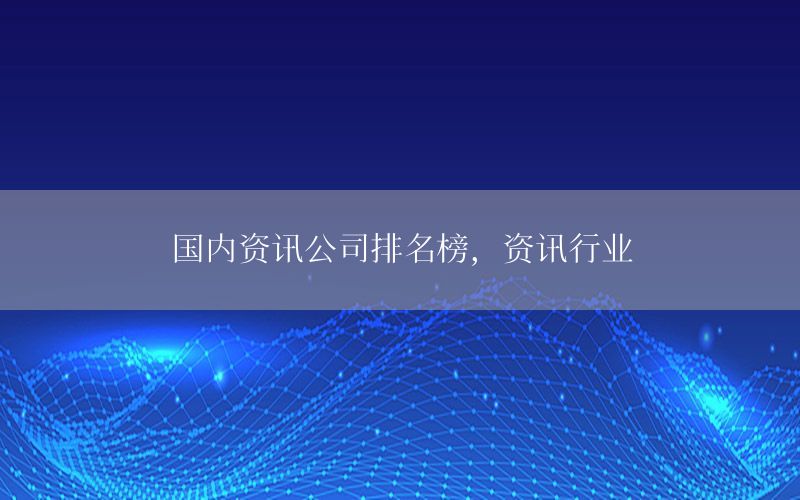 國內(nèi)資訊公司排名榜，資訊行業(yè)