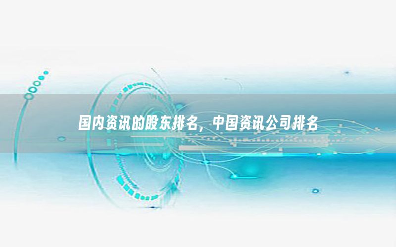國(guó)內(nèi)資訊的股東排名，中國(guó)資訊公司排名