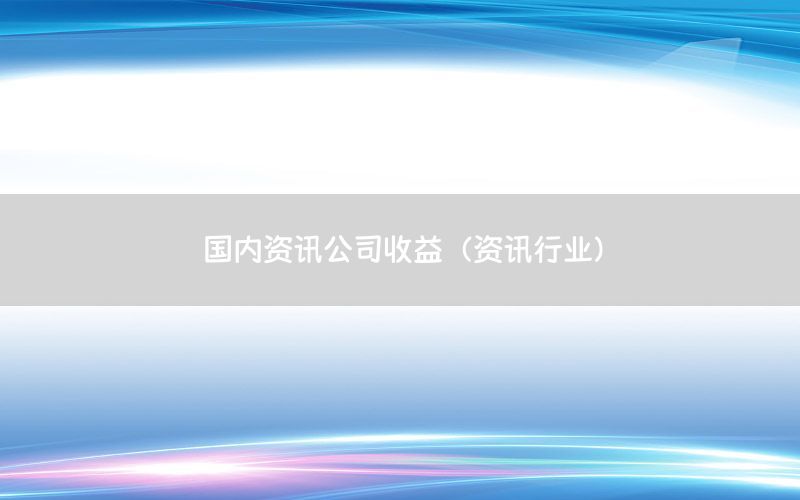 國內資訊公司收益（資訊行業(yè)）
