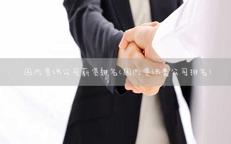 國內資訊公司薪資排名（國內資訊類公司排名）