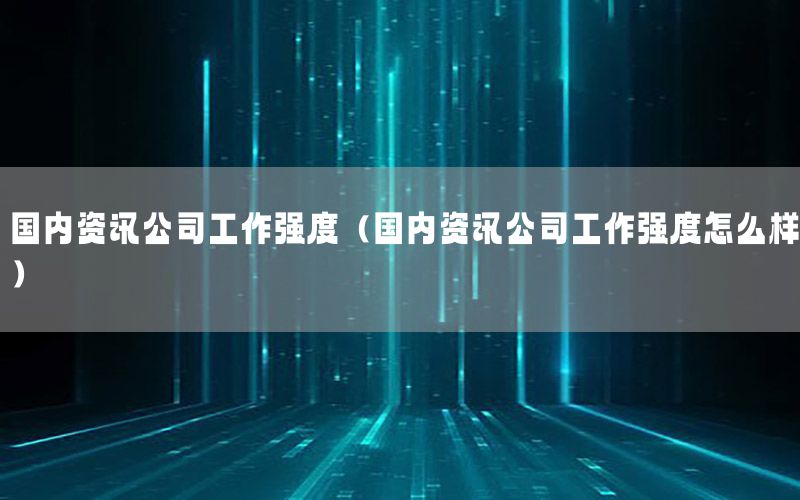 國內資訊公司工作強度（國內資訊公司工作強度怎么樣）