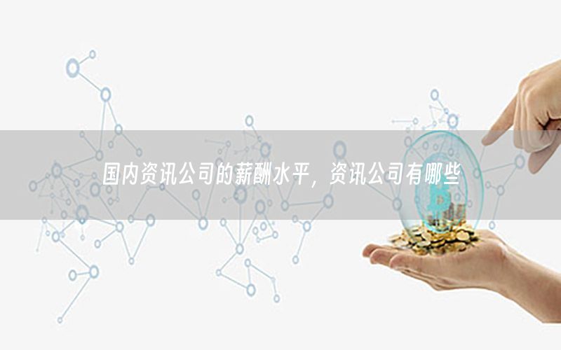 國內(nèi)資訊公司的薪酬水平，資訊公司有哪些